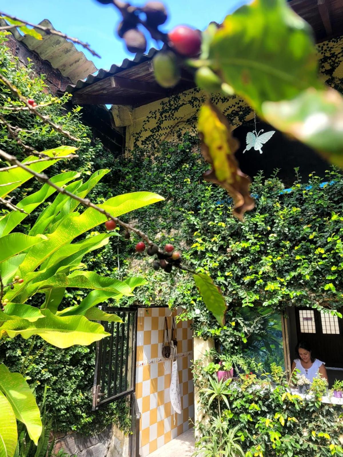 Acogedor Apartaestudio أرمينيا المظهر الخارجي الصورة